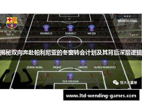 揭秘双向奔赴帕利尼亚的冬窗转会计划及其背后深层逻辑