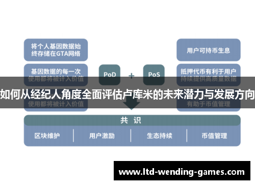 如何从经纪人角度全面评估卢库米的未来潜力与发展方向