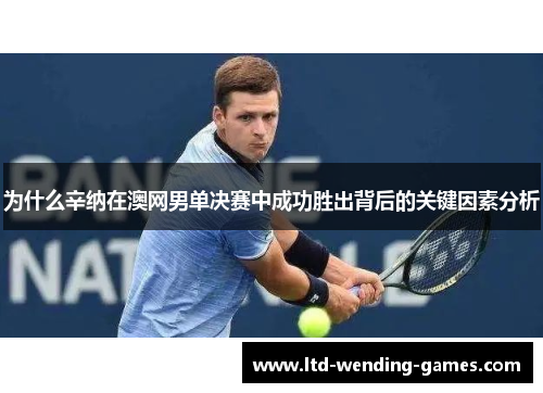 为什么辛纳在澳网男单决赛中成功胜出背后的关键因素分析
