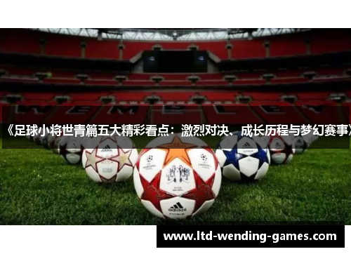 《足球小将世青篇五大精彩看点：激烈对决、成长历程与梦幻赛事》