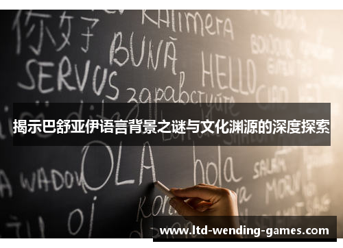 揭示巴舒亚伊语言背景之谜与文化渊源的深度探索