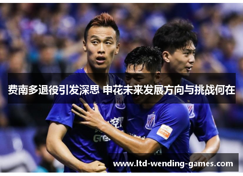 费南多退役引发深思 申花未来发展方向与挑战何在 费南多退役引发深思 申花未来发展方向与挑战何在