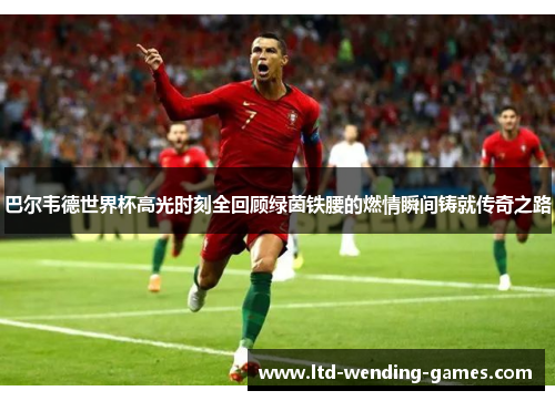 巴尔韦德世界杯高光时刻全回顾绿茵铁腰的燃情瞬间铸就传奇之路